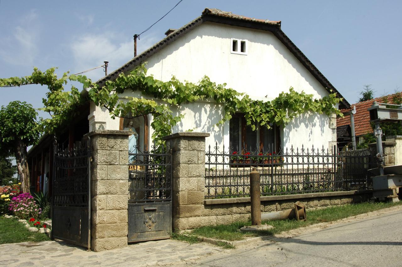 Pataky Borporta Bed & Breakfast Tarcal Dış mekan fotoğraf