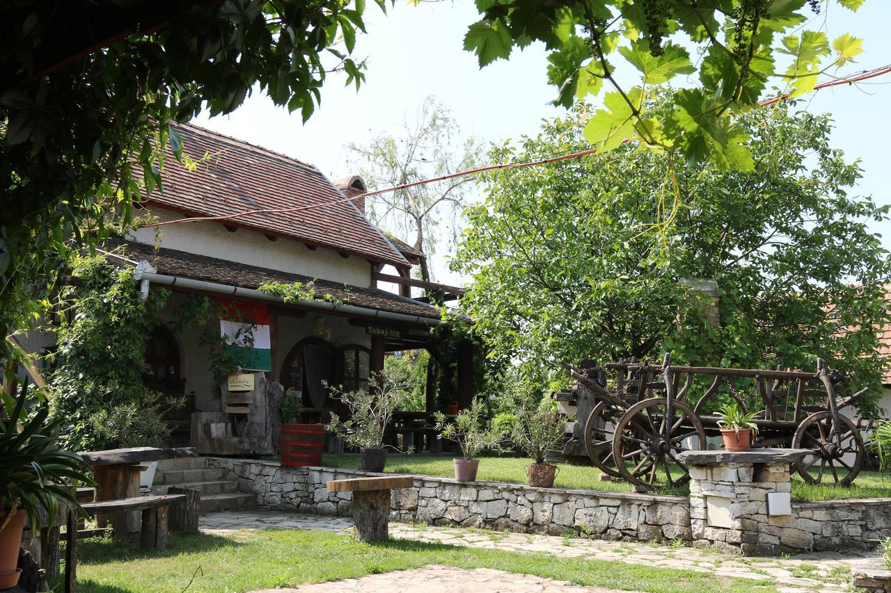 Pataky Borporta Bed & Breakfast Tarcal Dış mekan fotoğraf