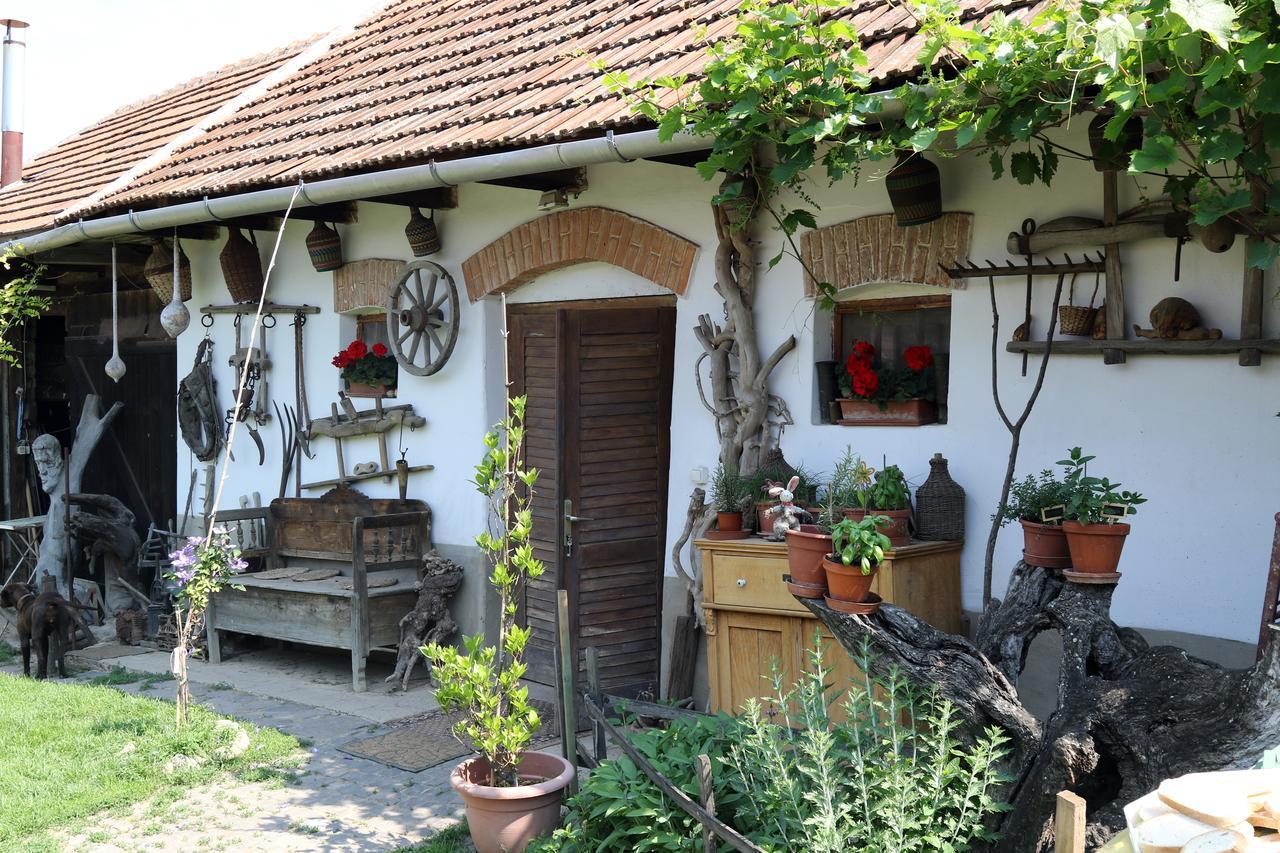 Pataky Borporta Bed & Breakfast Tarcal Dış mekan fotoğraf