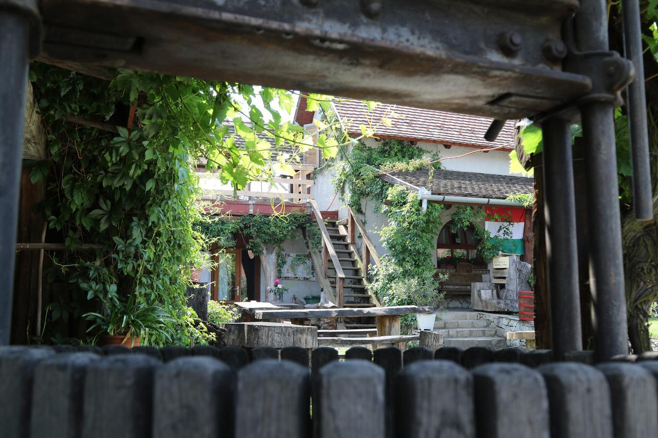 Pataky Borporta Bed & Breakfast Tarcal Dış mekan fotoğraf